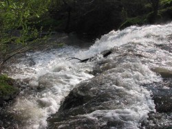 2010.04.25 Львів Печери млинки i Джуринський водоспад