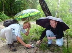 2010.06.20 Львів Почаїв - Підкамінь - Божа Гора