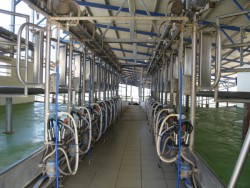 2011.07.4-9 Подорож до Ізраїлю від проекту Агро-Львів