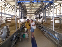 2011.07.4-9 Подорож до Ізраїлю від проекту Агро-Львів