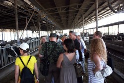 2011.07.4-9 Подорож до Ізраїлю від проекту Агро-Львів