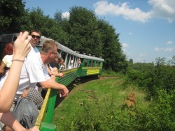 2011.08.06 Мандрівка Карпатським трамваєм( Львів-Розгірче-Вигода )