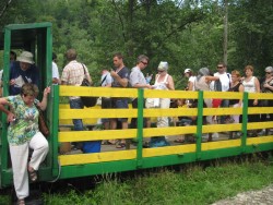 2011.08.06 Мандрівка Карпатським трамваєм( Львів-Розгірче-Вигода )