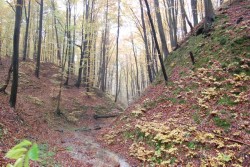 2009.10.25 Львів Подорож до Крехова
