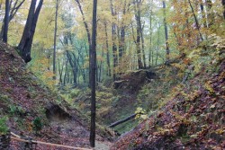 2009.10.25 Львів Подорож до Крехова