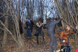 2009.12.06 Львів Золота підкова Львівщини